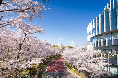 C3v91drLnF3c6Vaf1dD9.jpg?w=940&h=940