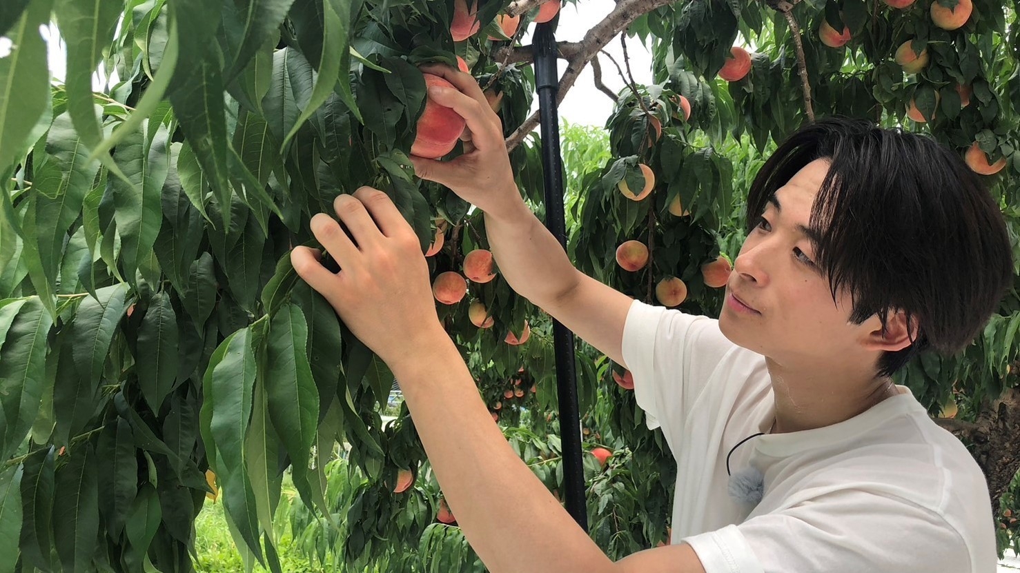 FANTASTICS畑 全員集合!福島夏野菜スペシャル 場面写真(15)