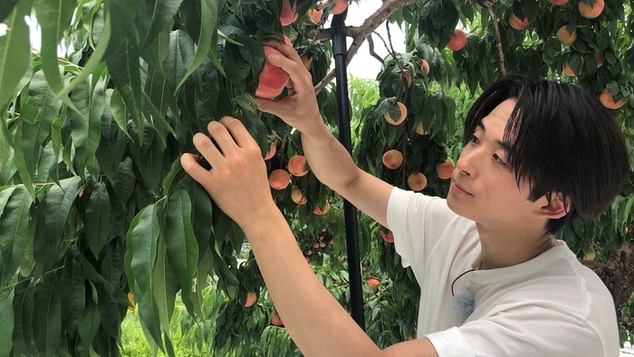 FANTASTICS畑 全員集合!福島夏野菜スペシャル 場面写真(15)