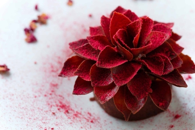 C5Kf8EUQVuZwctMRrqdk.jpg?w=940&h=940