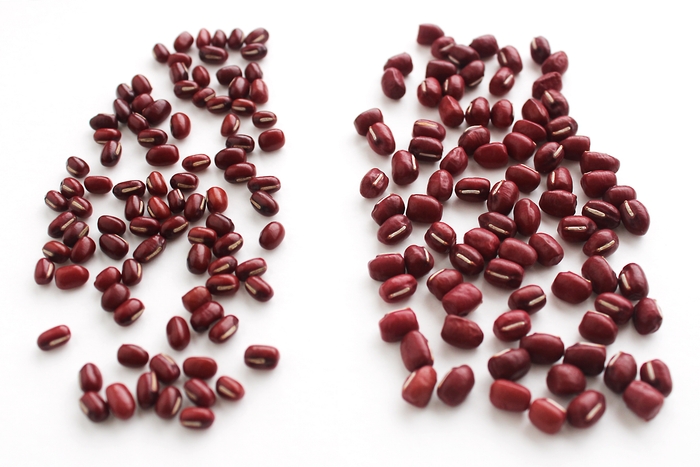 小豆比較写真(左:北海小豆、右:丹波の極)