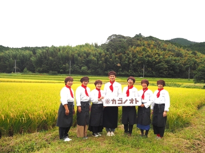 C63hrGmcMafJQDkHbcOv.JPG?w=940&h=940