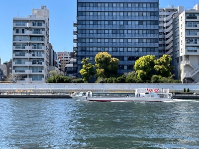 C7Nk48KS4eZPr64SRZ5b.jpg?w=940&h=940