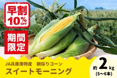 甘さがぎゅぎゅっと！　兵庫県産「スイートモーニング」の予約販売開始！ 先着100箱限定で早割価格10％OFF！今年から新規格登場。