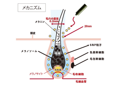 C9ddpV58rtAH8EMkrpVZ.jpg?w=940&h=940