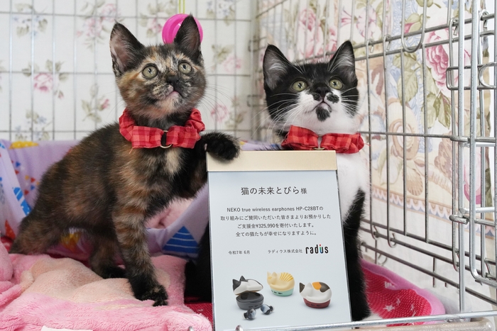 HP-C28BT_寄付金ご報告