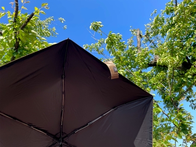 CBETN1PiA7xq7sls3ZkR.jpg?w=940&h=940