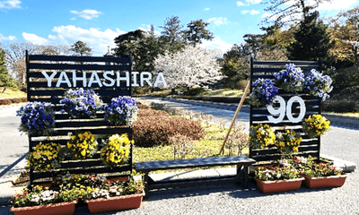 フォトスポットイメージ