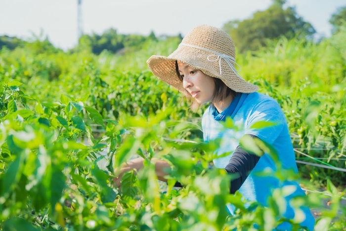 日本農業実践学園　実習風景2