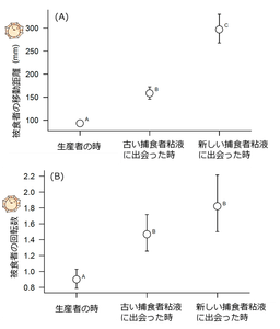 図3. 被食者笠貝が粘液生産者である場合と、捕食者巻貝の粘液（実験1では古い粘液、実験2では新しい粘液）に遭遇した場合の反応　（A）は総移動距離、（B）は回転数の結果を示す。各図に付されたアルファベットが異なる場合、統計的に有意な差があることを示す。
