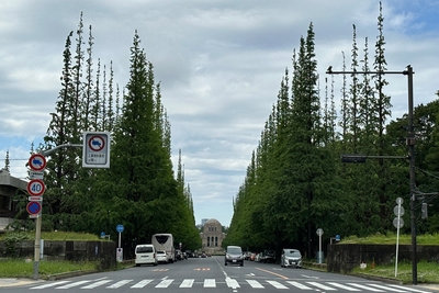 CCAUblOAxkYPk4dQr3ij.jpg?w=940&h=940