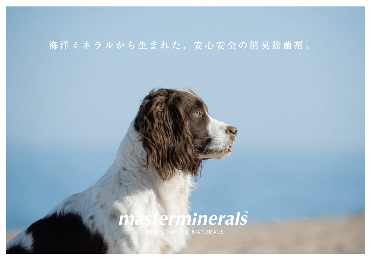 今話題の天然ミネラル成分で出来た洗浄剤「masterminerals」が ペット