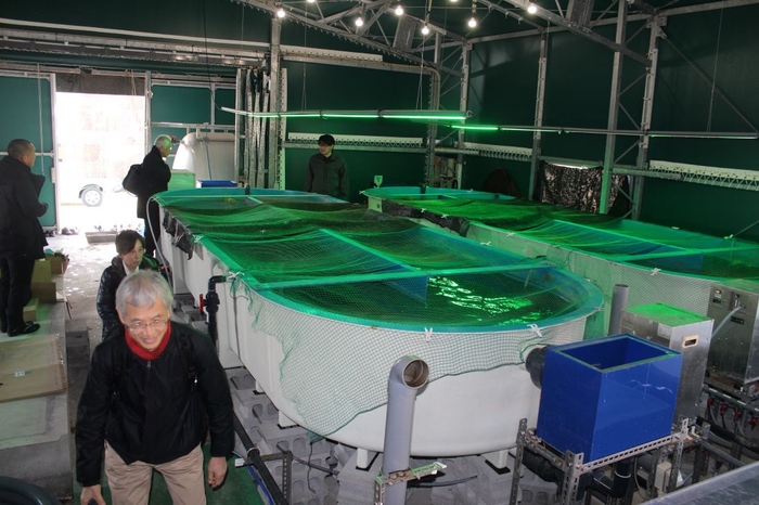 7.4トン水槽2基が並ぶ試験養殖施設