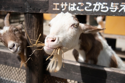 CGXuopndo8UyMCqCxn1N.jpg?w=940&h=940