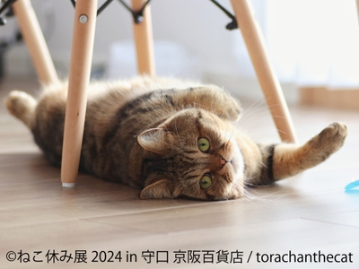 CIEjNNSaEBPD6vBnhA3j.jpeg?w=940&h=940