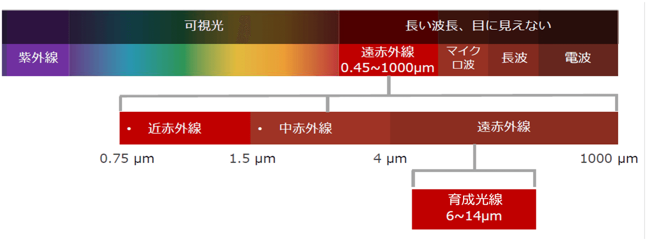 図1:光線の波長