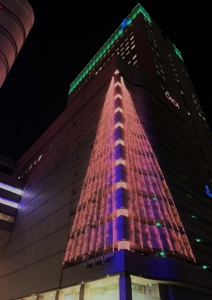 ＜2019年度イルミネーションツリー＞