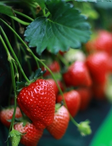 CQrbMZ6e8engu5ES711B.jpg?w=940&h=940