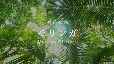 300の病を予防し、90種類の栄養素を含む植物！今期注目のスーパーフード「モリンガ」を映像で分かりやすく紹介！！