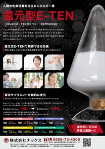 還元型E‐TEN　パンフレット１