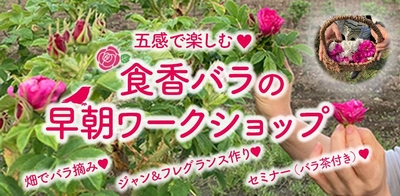 CSIujnIW7EGA4nz7HTWS.jpeg?w=940&h=940