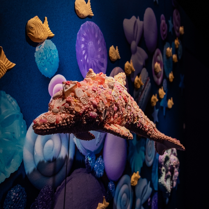 出品作品「Sweet Dolphin」