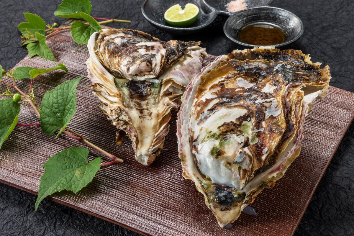 大ぶり肉厚な岩牡蠣も初夏の味