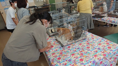 CT6zqmi8xA1vxlBcm9qz.jpeg?w=940&h=940