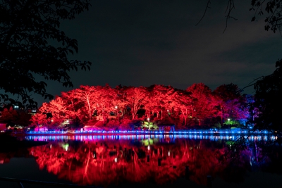 CTbbNMMm9rMgcxpSZNll.jpg?w=940&h=940