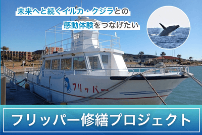 CW9d4jDRzXwsSFJxJ2Ll.png?w=940&h=940