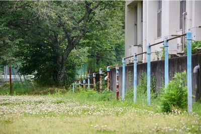 CX0tws6aBb038hA6TATP.jpg?w=940&h=940