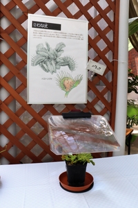 CXW6f5LE7EdSXRKuk8BV.jpg?w=940&h=940