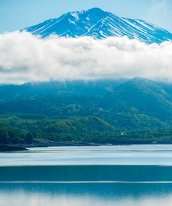 CXWitbcsKJcbRBh8LdZy.jpeg?w=940&h=940