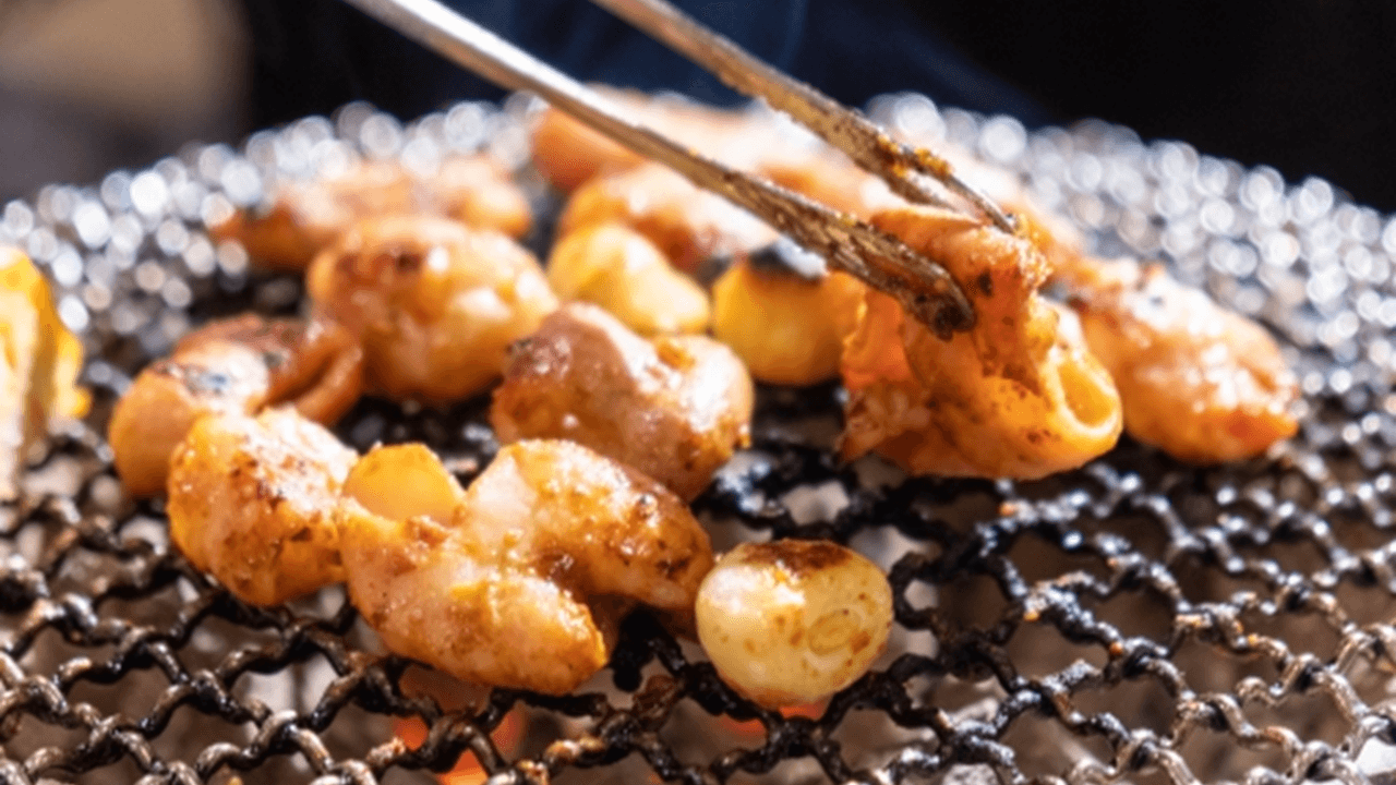 ふるさと納税でもらえる「ホルモン」おすすめ人気ランキングを更新|免疫力の向上に