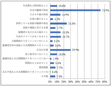 〈消費者調査結果〉 日常生活を送る上で感じる悩みやストレス（団塊世代）