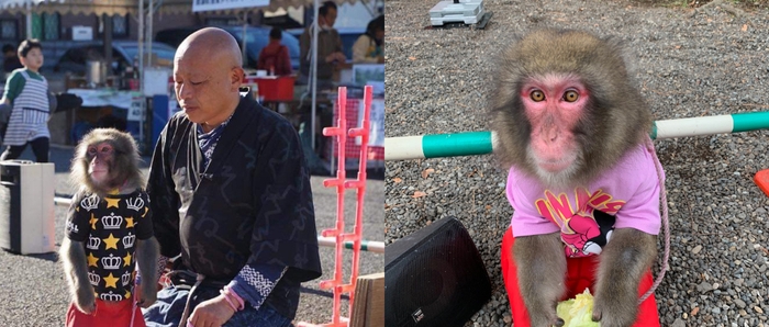 おさるキッズさん