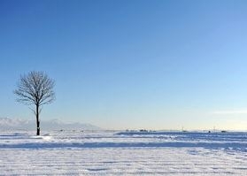 CcT3YMKbwL6VPx0F15Cb.jpg?w=940&h=940