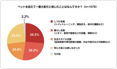 CcmNjpVo2uXS1w8nrfoE.png?w=940&h=940