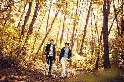 CeU6fPw5bRWPrpjjf9TC.jpg?w=940&h=940