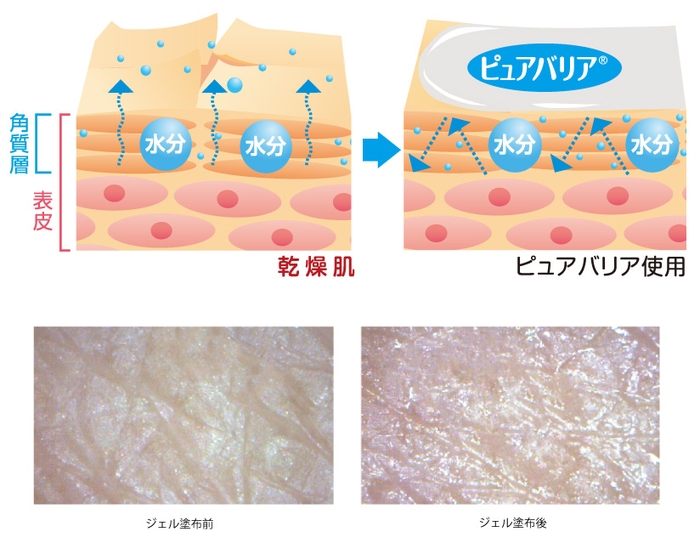 ピュアバリアで保湿&保護