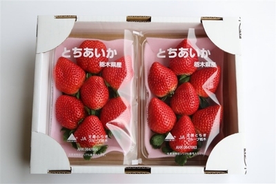 CevrPxwiCDP70pQJZKEM.jpg?w=940&h=940