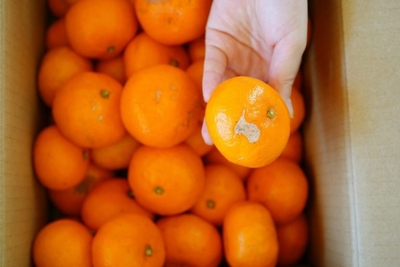 Cf29aupo9zj42lY53mQY.jpg?w=940&h=940