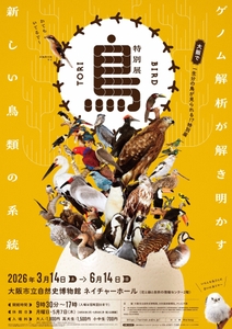 ChVadjnNzgxKE0DBlaOL.jpg?w=940&h=940