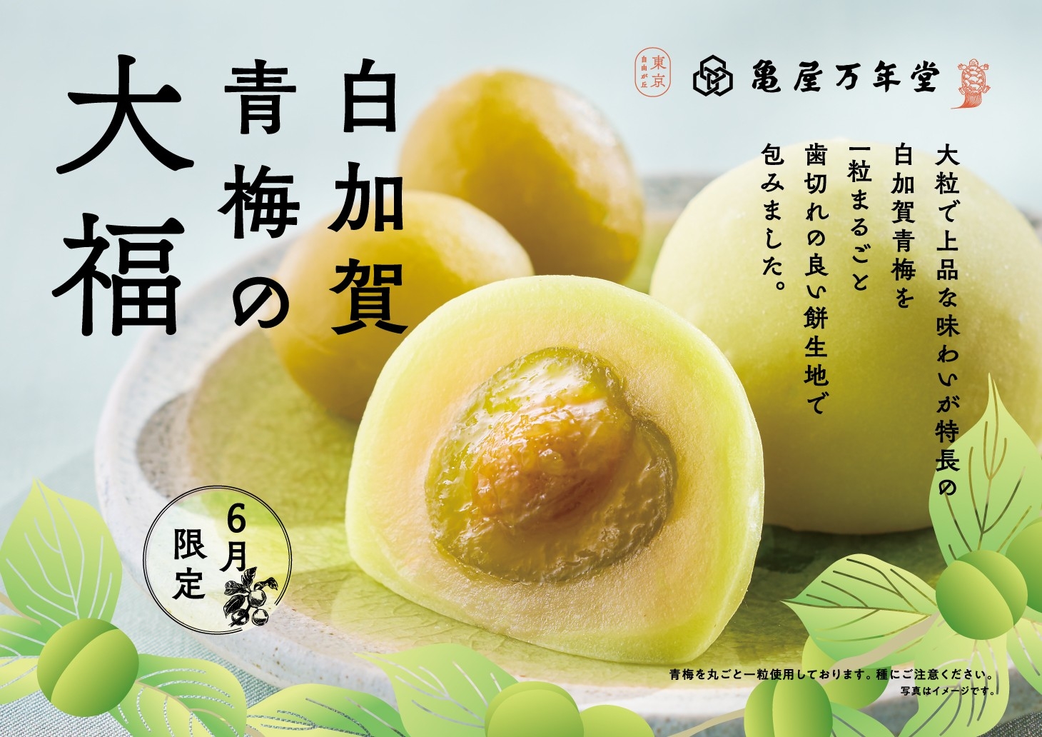 新商品情報｜2026年6月限定】大粒で上品な味わいの青梅をまるごと一粒