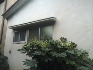 Ck3oRc5VBDTfrIt4g3pz.jpg?w=940&h=940