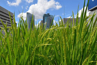 Ck8o2st0kw2PflQ9JjWW.png?w=940&h=940