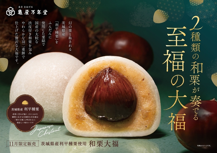 東急線ドア横ポスター