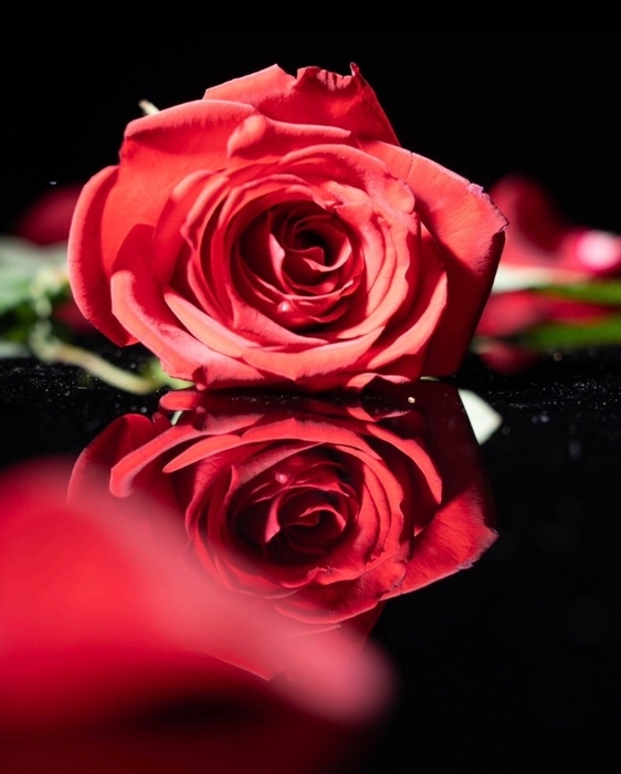 規格外ローズ(一例)