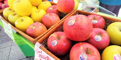 CkHipIQcukhPytid3Isv.jpg?w=940&h=940