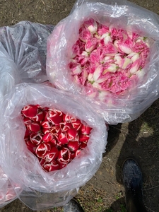 CkI6jyZIqymXWCOVGC3o.jpg?w=940&h=940